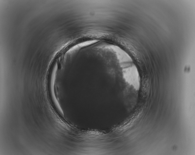 X0000098010399200804251119