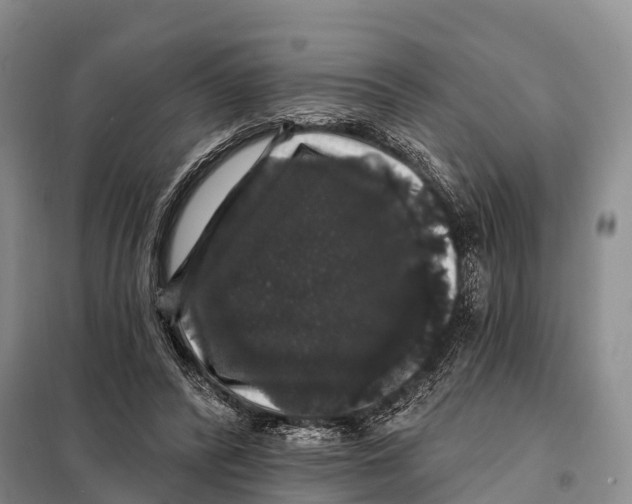 X0000098010400200804251119