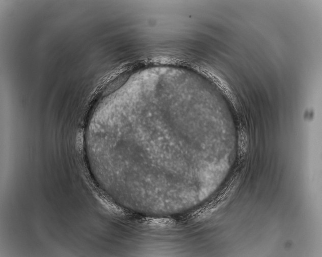 X0000098010401200804251119