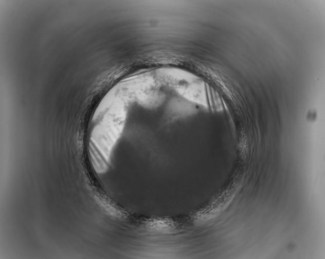 X0000098010402200804251119