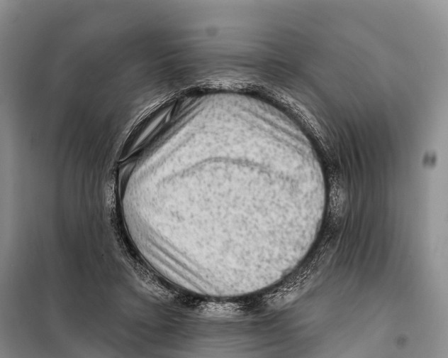 X0000098010403200804251119