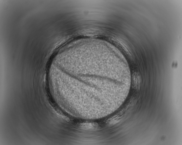 X0000098010404200804251119