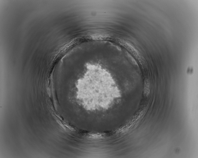 X0000098010405200804251119