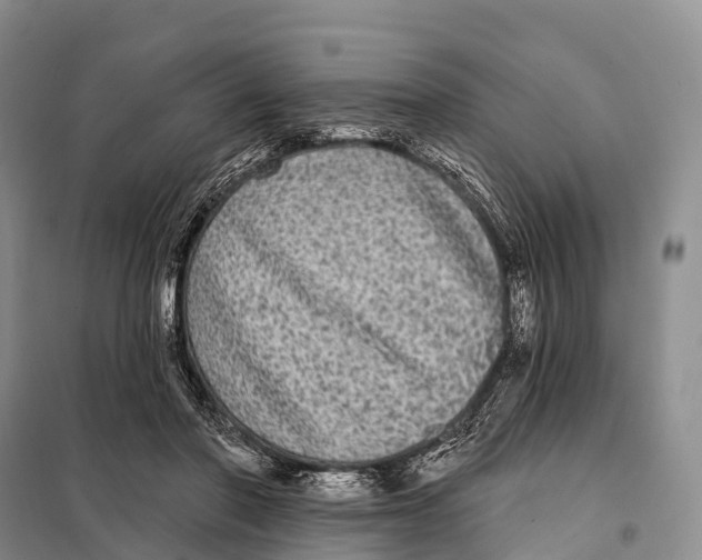 X0000098010406200804251119