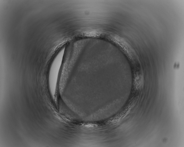 X0000098010407200804251119