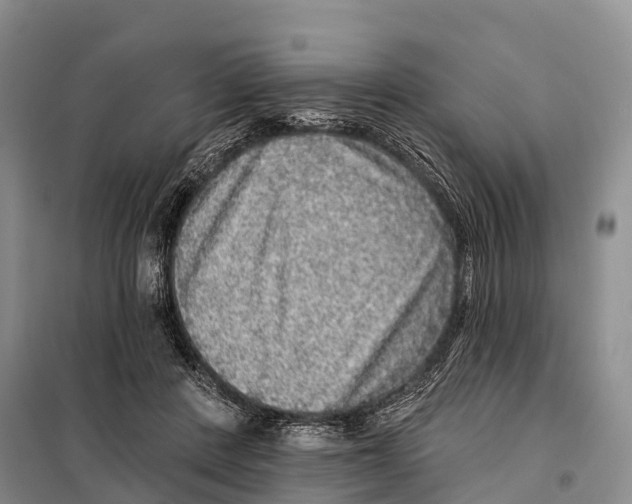 X0000098010408200804251119