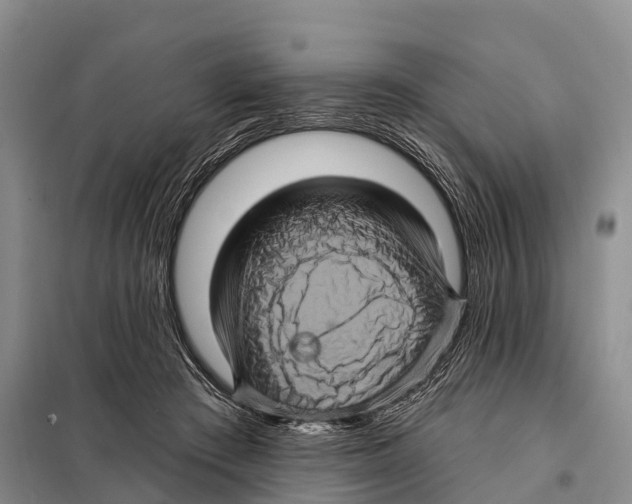 X0000098010409200804251119