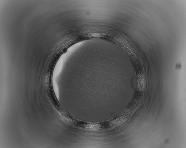 X0000098010410200804251119