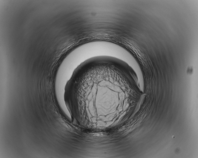 X0000098010411200804251119