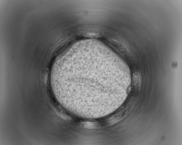 X0000098010412200804251119