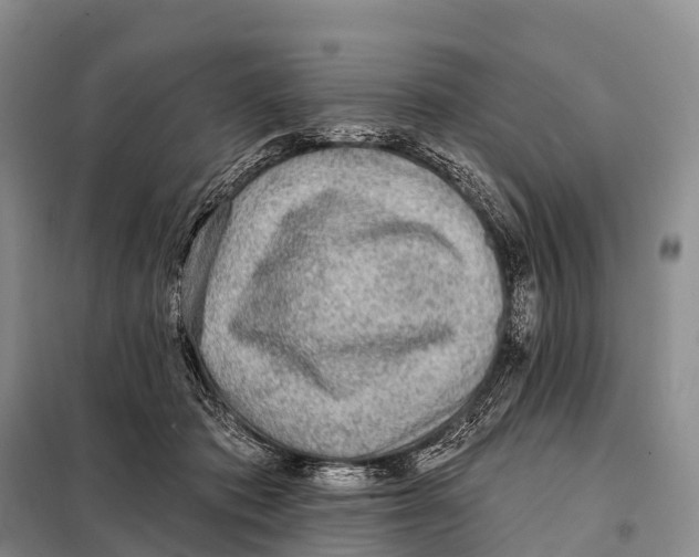 X0000098010413200804251119