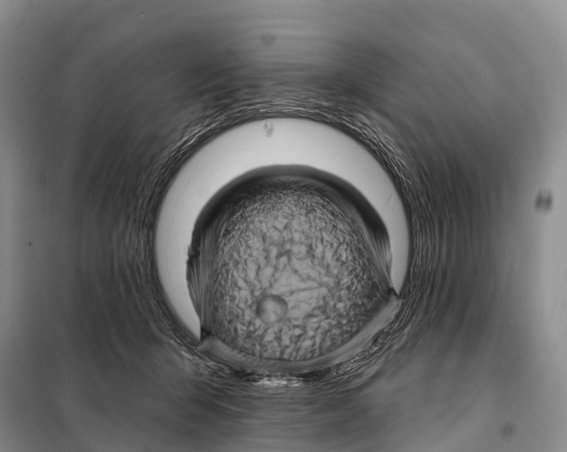 X0000098010415200804251119