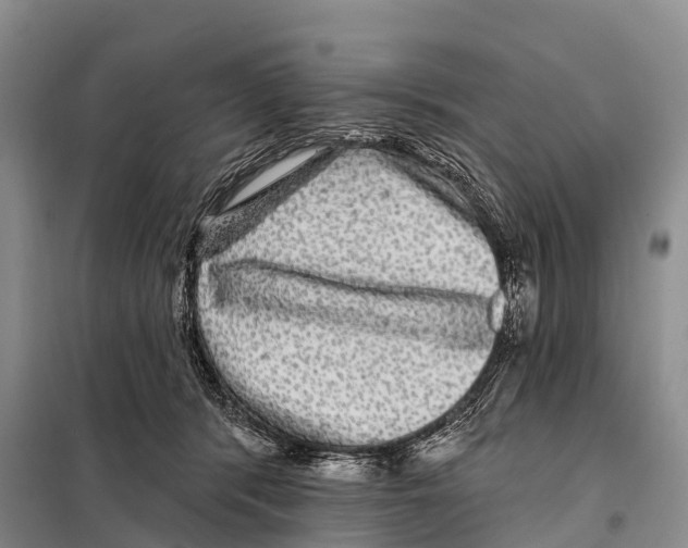 X0000098010416200804251119