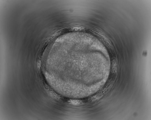 X0000098010417200804251119