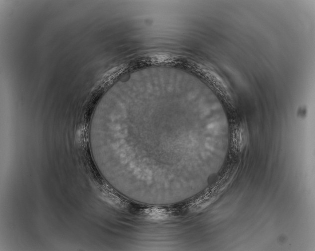 X0000098010419200804251119