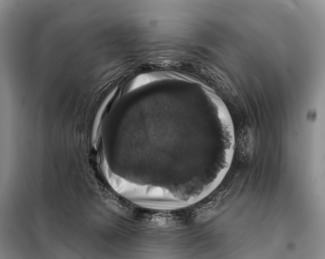 X0000098010420200804251119