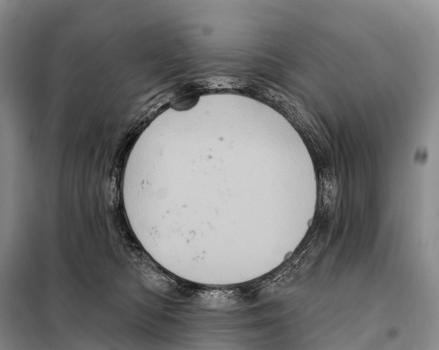 X0000098010422200804251119