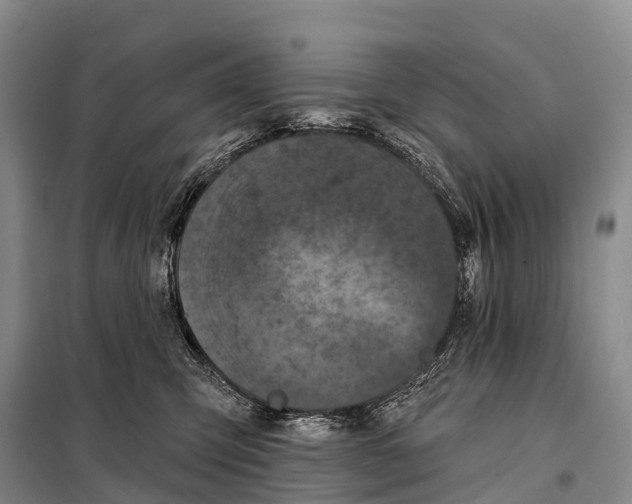 X0000098010423200804251119