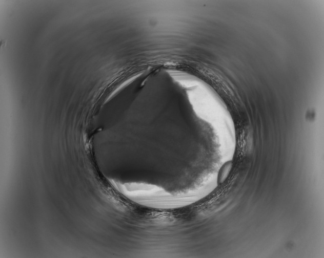 X0000098010424200804251119