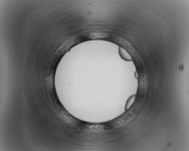 X0000098010426200804251118