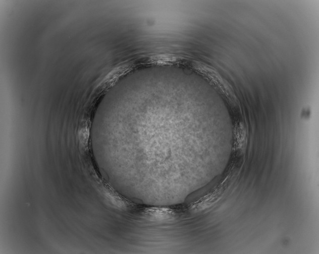 X0000098010427200804251118