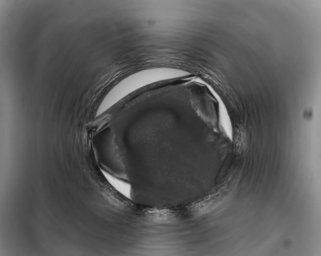 X0000098010428200804251118