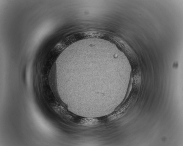 X0000098010429200804251118