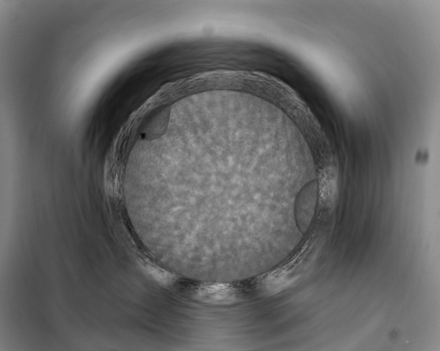 X0000098010431200804251118