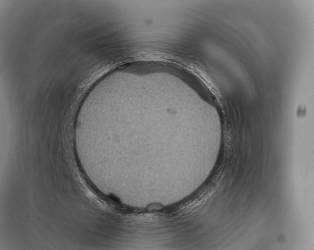 X0000098010433200804251118