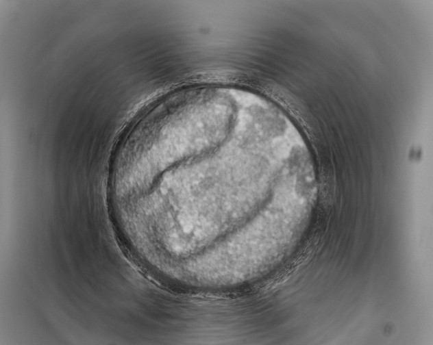 X0000098010434200804251118