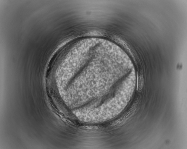 X0000098010435200804251118