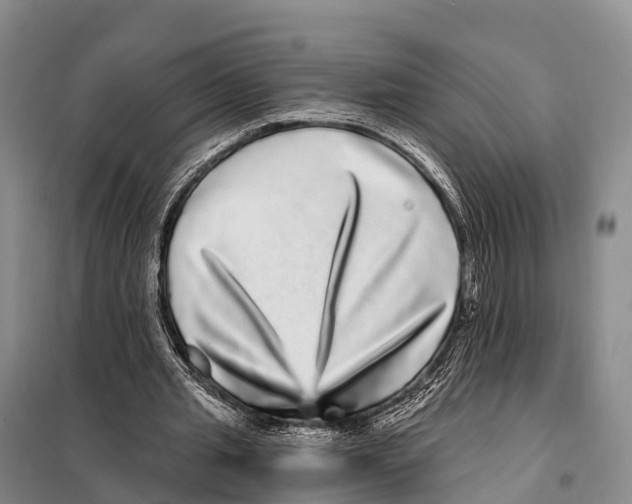 X0000098010437200804251118