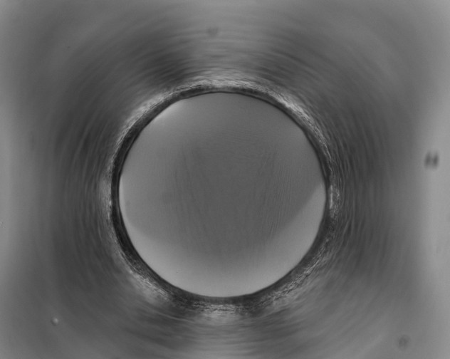 X0000098010438200804251118