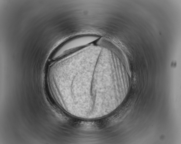 X0000098010440200804251118