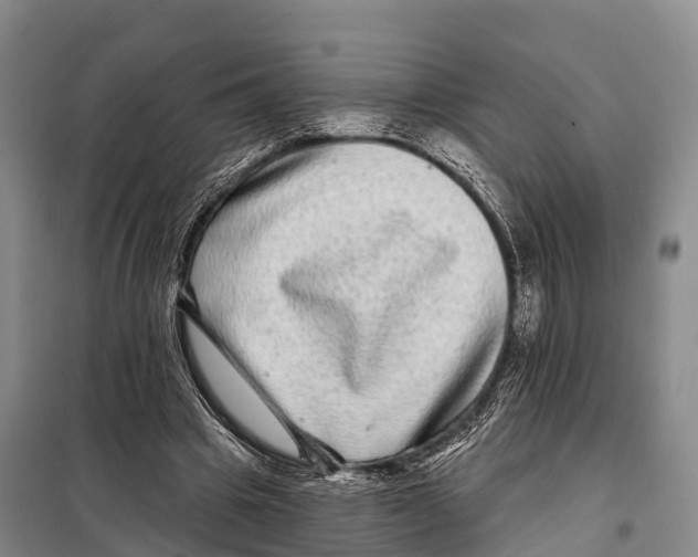 X0000098010441200804251118