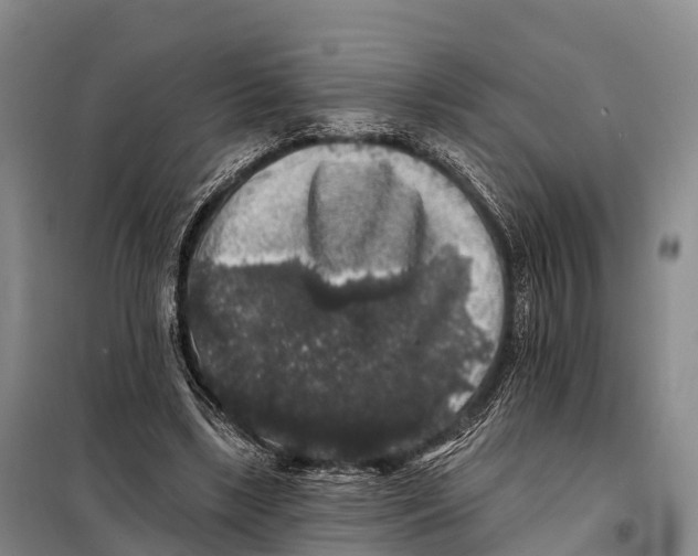 X0000098010443200804251118