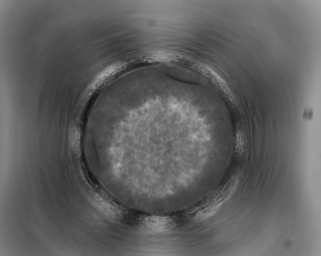 X0000098010444200804251118