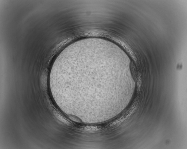 X0000098010445200804251118