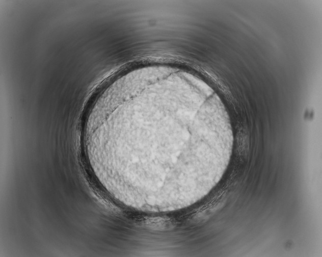 X0000098010446200804251118