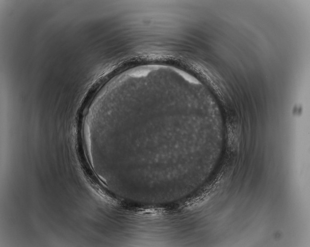 X0000098010447200804251118