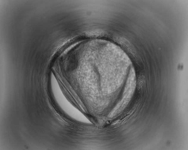 X0000098010448200804251118