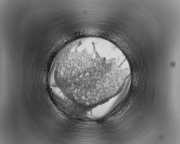 X0000098010449200804251118