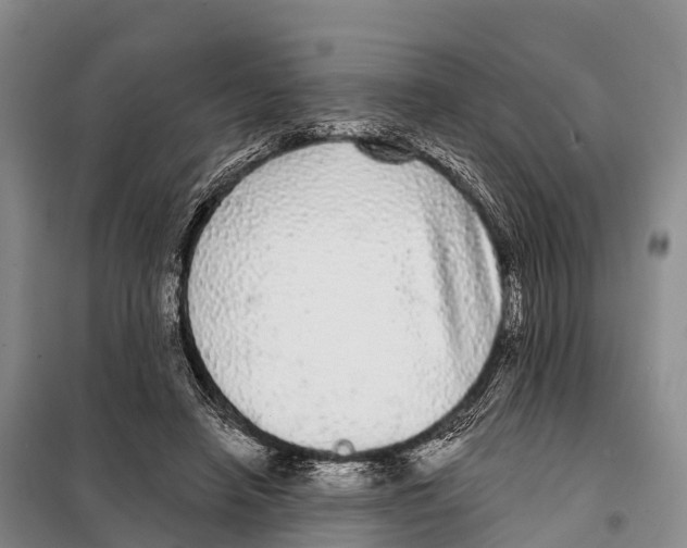 X0000098010450200804251118