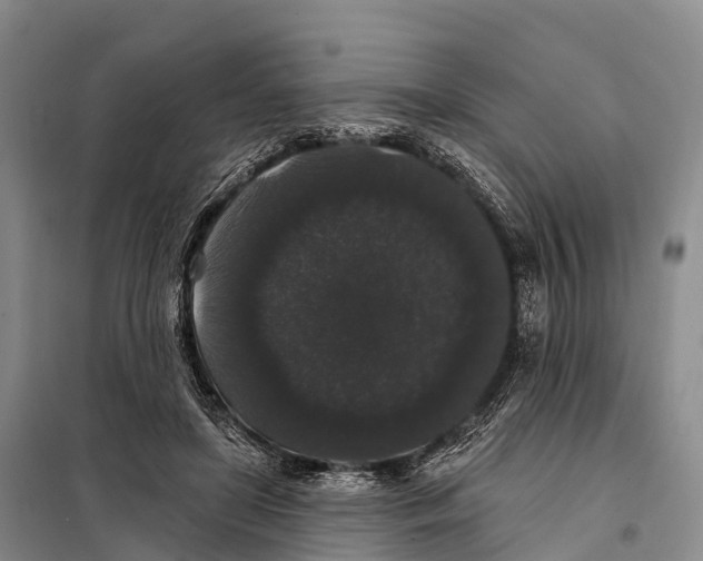 X0000098010451200804251118