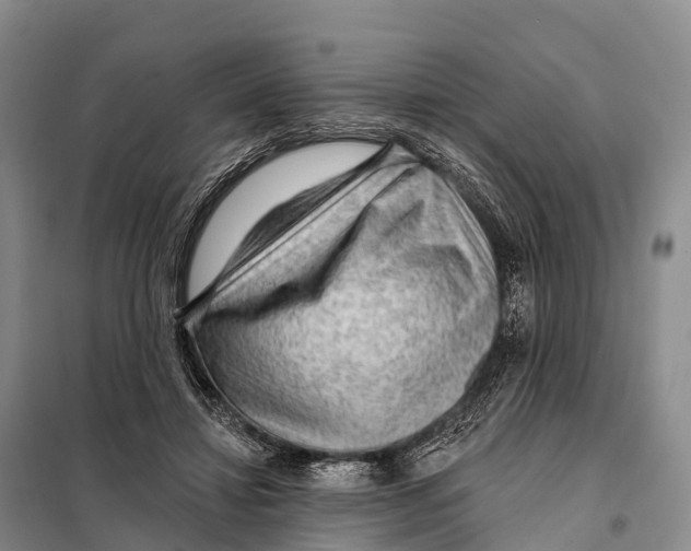 X0000098010452200804251118