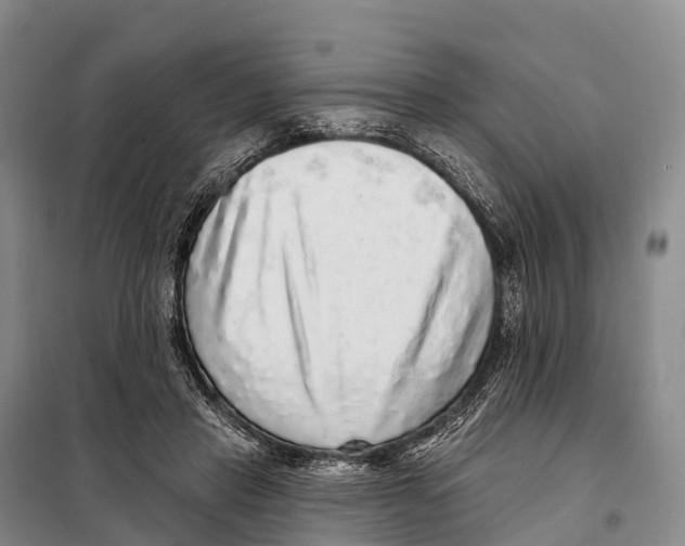 X0000098010453200804251118