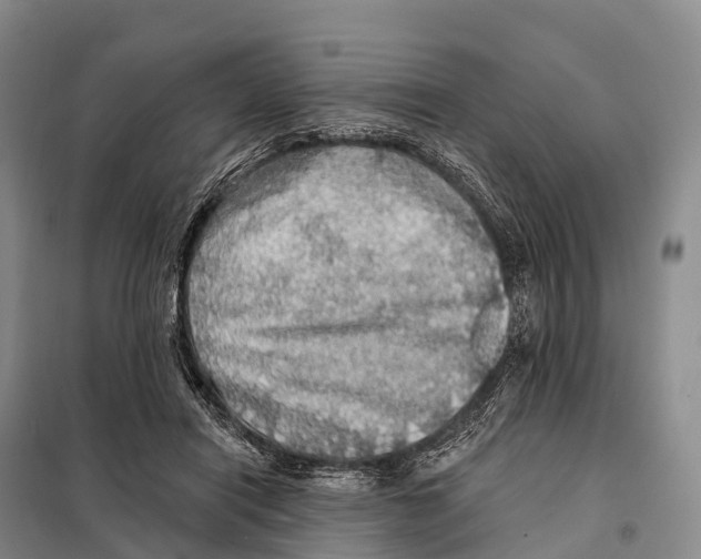 X0000098010454200804251118