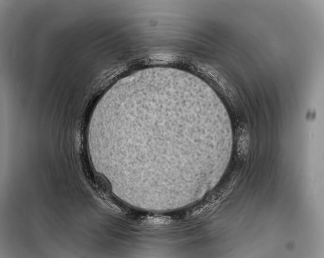 X0000098010455200804251118