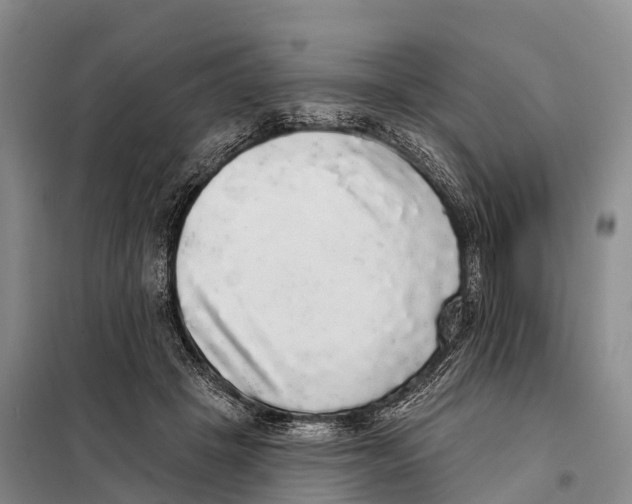 X0000098010457200804251118