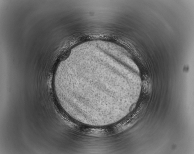 X0000098010458200804251118